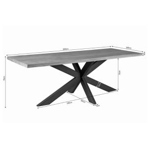 images/productimages/small/eetkamertafel-denver-mangohout-300cm-02.jpg
