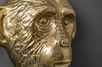 wandkapstok Apes 3-delige set kledinghaken goud