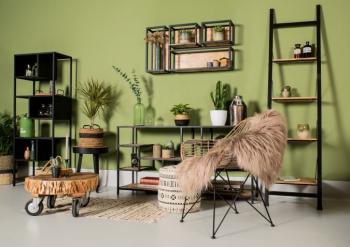 decoratieve ladder mangohout
