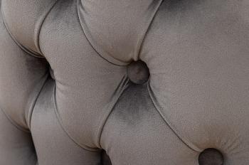 Deluxe stoel grijs fluweel met leeuwenkop zwarte poten