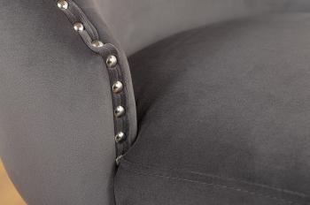 Deluxe stoel grijs fluweel met leeuwenkop zwarte poten