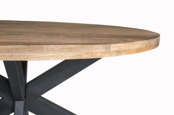 Ovale eettafel mangohout bruin 210 cm