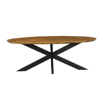 ovale tafel mangohout 160 cm